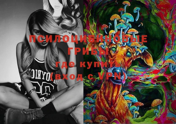 PSILOCYBIN Алзамай