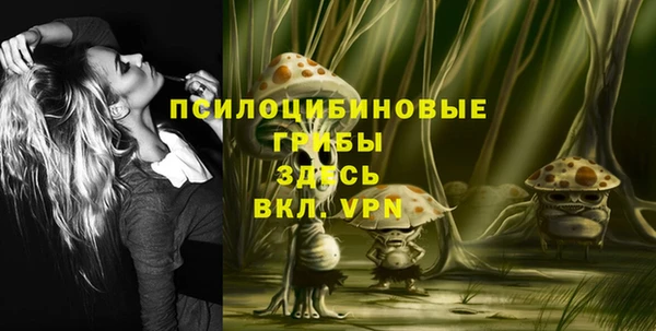 PSILOCYBIN Алзамай