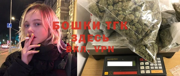 индика Абаза