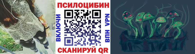 mega зеркало  Игарка  Псилоцибиновые грибы Psilocybe 